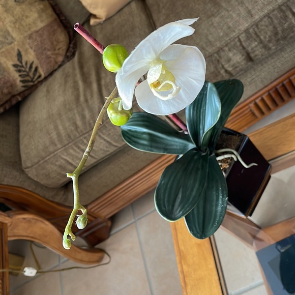 Fake flower - Picture 3 of 4